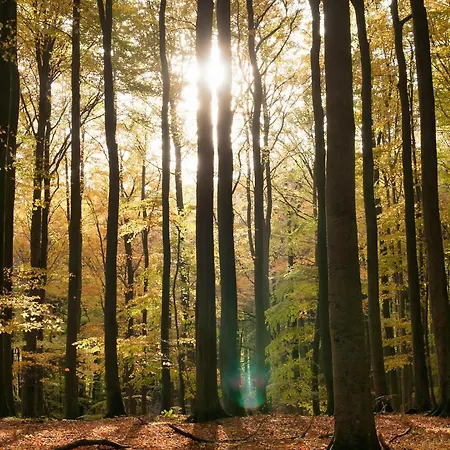 בית נופש Panama - באבה